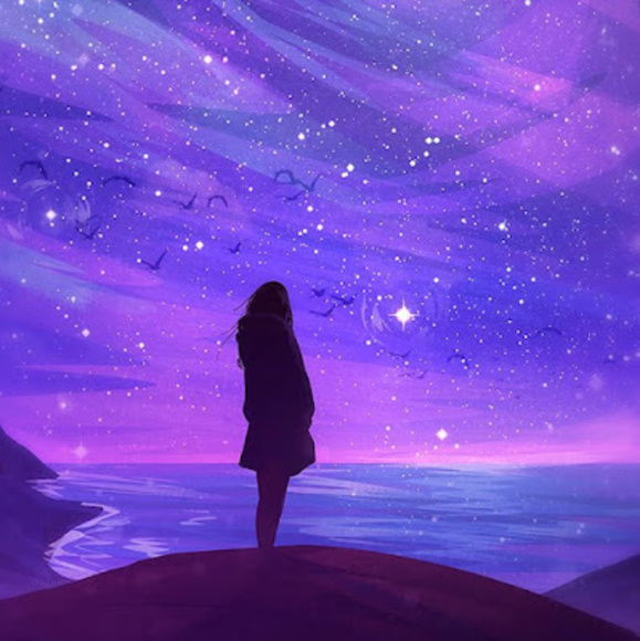 Meet your Posher, Bailey - Picture 1 of 1